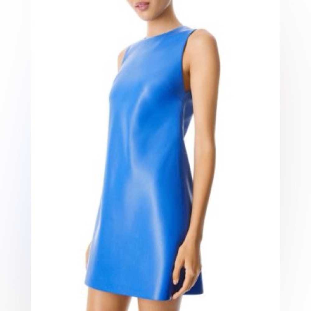 Alice + Olivia Blue Coley Mini Dress